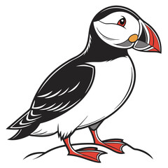 Cartoon puffin bird illustration