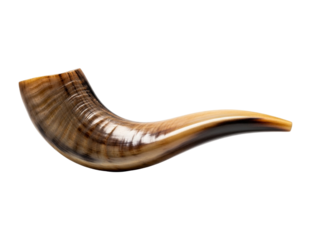 Curved rams horn isolated on transparent background, a traditional jewish instrument