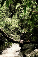 This photograph shows a person perched on a fallen log, suspended over a small, rushing stream in a dense, green forest.