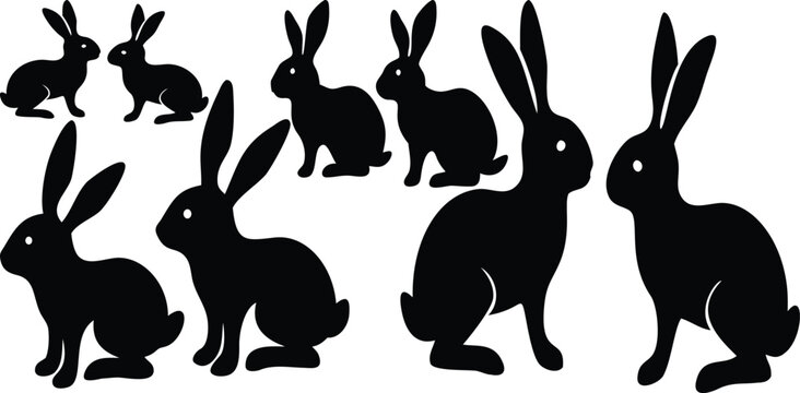 Silhouette Rabbit Collection