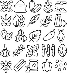 Hand drawn spices and herbs icon set, doodle seasoning and cooking ingredients, organic food illustration, garlic, chili, leaves, seeds, pepper, nutmeg, kitchen doodle vegetable sketch