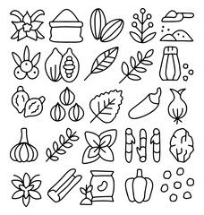Hand drawn spices and herbs icon set, doodle seasoning and cooking ingredients, organic food illustration, garlic, chili, leaves, seeds, pepper, nutmeg, kitchen doodle vegetable sketch