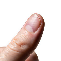Closeup of a human thumb nail with lunula visible, isolated on transparent background