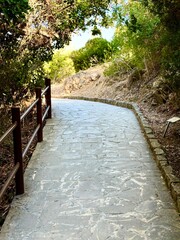 Concrete pathway through lush greenery outdoors. A walking path paved with stones.