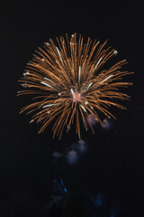 Festive fireworks. Fireworks in the sky.