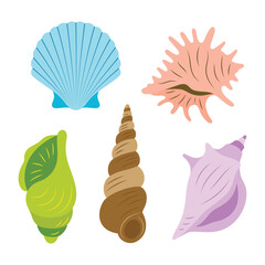 cartoon seashell set isolated