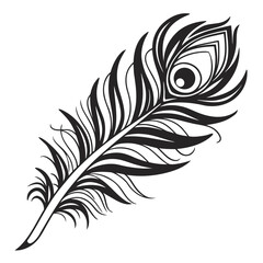 Obraz premium Elegant black and white peacock feather illustration