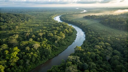 Fototapeta premium aerial view of the river