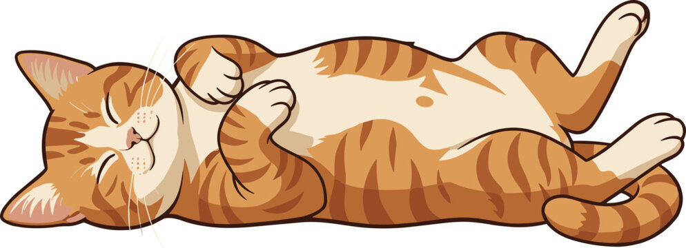 Ginger Cat Sleeping Belly Up &ndash; Hand Drawn Vector