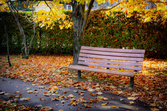 Banc de parc en automne au Qu&eacute;bec , ville de Qu&eacute;bec Canada