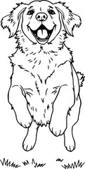 Happy Golden Retriever puppy jumping, black and white line art