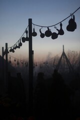 Dried gourds hanging in silhouette against a foggy dawn sky in a rural garden setting
