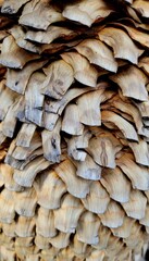 Detailed view of a natural wooden surface showcasing the unique texture and patterns of layered wood