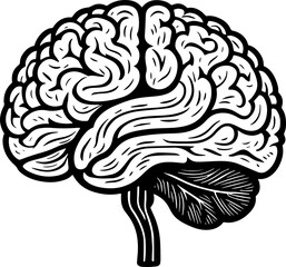 Human Brain Graphic Element for Medical, Technology, and Knowledge Brand Identity
