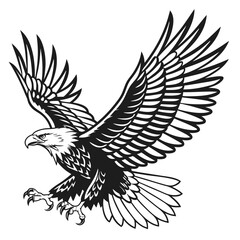 Obraz premium Bald Eagle in Flight Black and White Vector