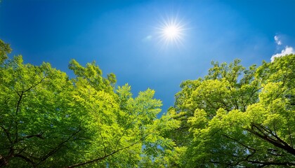 Fresh Green Leaves Reach For A Clear Blue Sky Embodying Growth And Tranquility In A Serene Natural Setting