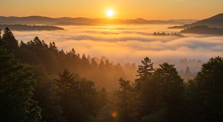 Fototapeta premium First rays on foggy peak trees