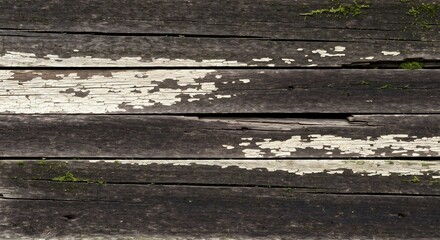 Closeup of weathered wooden planks with peeling white paint and green moss