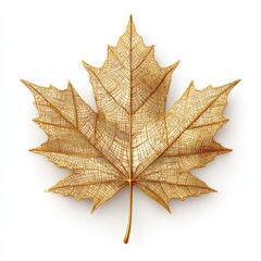 Detailed illustration of a golden, autumn maple leaf