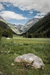 Boulder in an Alpine Meadow of the Schladminger Tauern