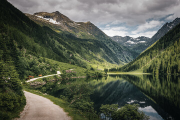 Fototapeta premium A Hiking Trail Alongside Riesachsee Lake with Cows