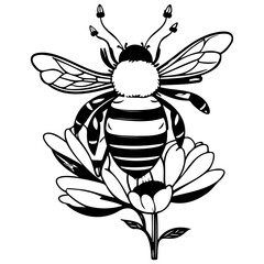 Bee on flower spring illustration sketch hand draw