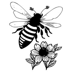 Bee on flower spring illustration sketch hand draw
