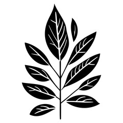 leaf nature illustration sketch hand draw