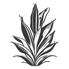 aloe flower illustration grey