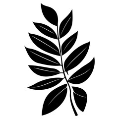 leaf nature illustration sketch hand draw