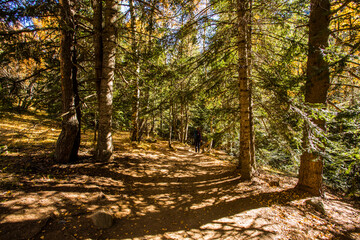 Autumn landscape in Aiguestortes and Sant Maurici National Park, Spain