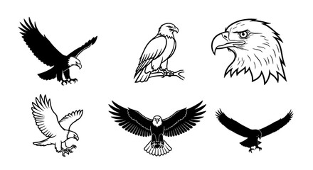 Obraz premium Majestic Eagle Vectors Collection of Powerful Bird Illustrations