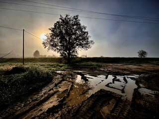 Road Ahead
