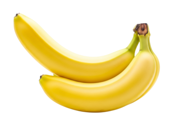 Two ripe yellow bananas isolated on transparent background