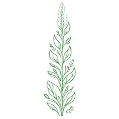 Obraz premium tulip flower illustration green