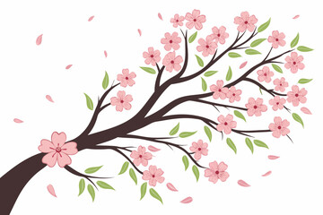 cherry blossom sakura