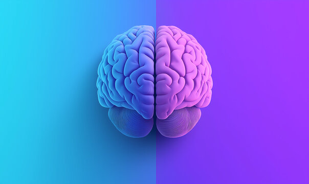 Stylized 3D brain split into two hemispheres on a blue-to-purple gradient, highlighting cognition, creativity, and logic in a clean, futuristic illustration.