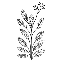 spring grass leaf Easter butterfly illustration sketch hand draw