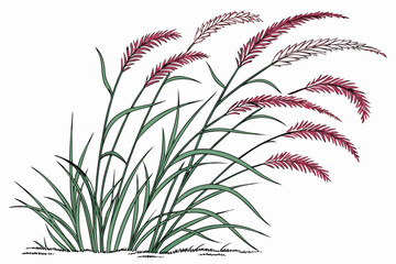 red and green plants