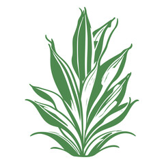 aloe flower illustration green