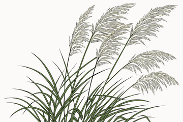 vector illustration of a plant