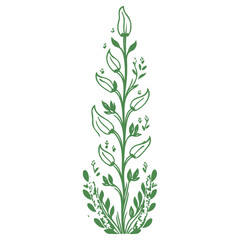 Obraz premium tulip flower illustration green
