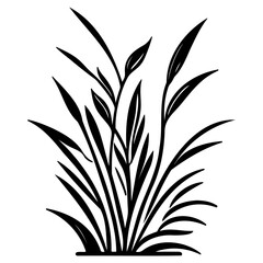 grass garden illustration sketch hand draw