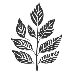 leaf nature illustration grey
