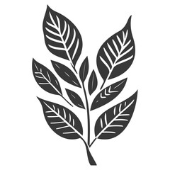 leaf nature illustration grey