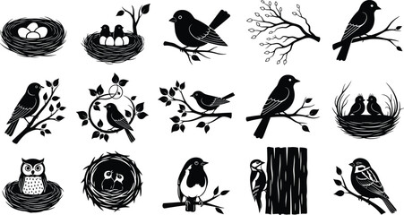 Birds and nests silhouettes, birds on branches, bird nests with eggs, woodland wildlife icons, nature bird vector illustrations