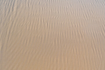 Sand ripples of Maspalomas Dunes nature reserve Gran Canaria Spain