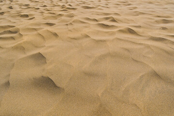 Sand waves of Maspalomas Dunes nature reserve Gran Canaria Spain