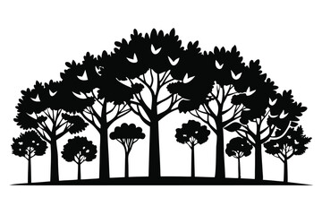 Silhouette of Diverse Trees Forming a Dense Forest Canopy and Ground Cover