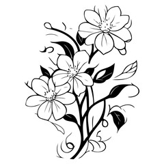 blossom flower illustration sketch